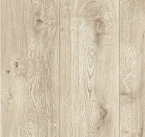 Линолеум Juteks Glory KANSAS 4_5903 фото 1 | FLOORDEALER